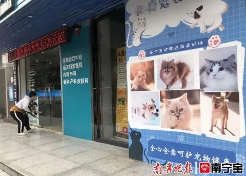 小猫在宠物医院抽血后休克死亡！发生宠物医疗纠纷，如何维权？