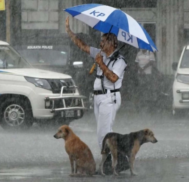 交警在暴雨中和流浪狗共用一把雨伞，网友被暖哭：这画面好美！