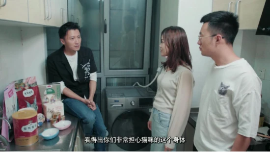 《家有恶猫》开播 携手谢霆锋一起“对抗”小恶猫