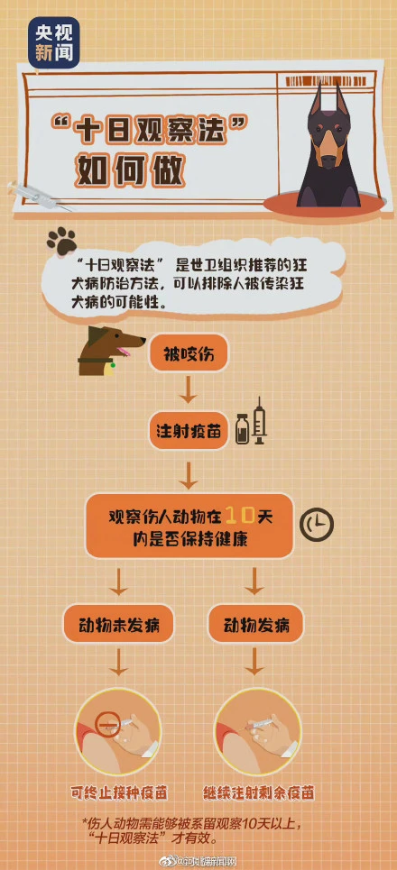 转起提醒！必知的狂犬病知识！