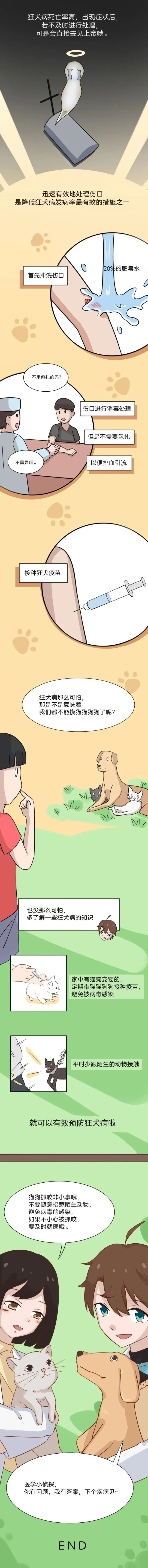 狂犬病病死率几乎100％！被猫狗抓咬伤，学会正确处理是关键