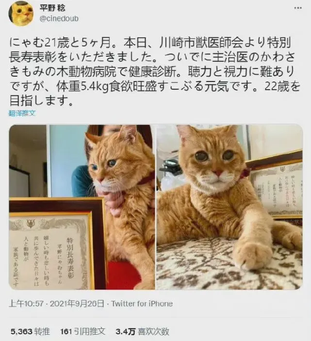 【冷兔•槽】每日一冷NO.3109