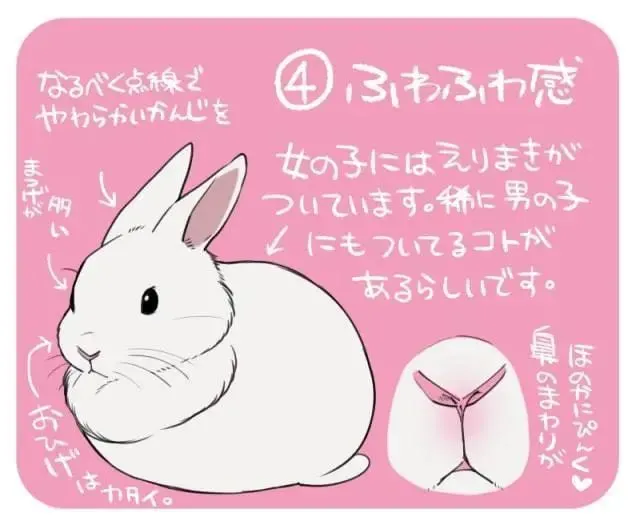 怎么去画一只超“可爱”的兔子