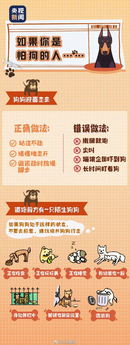 今天世界狂犬病日关于狂犬病这些你要知道