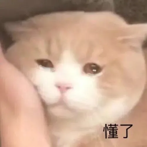 表情包｜喵星人表情包（27张）猫表情包【400期】