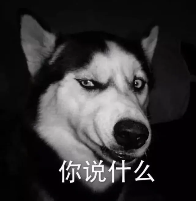 哈士奇的“进化史”：它是一种非常有想法的狗子