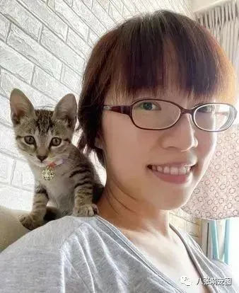 虎斑来家3天收服爸！“背后抱抱”陪萌娃睡觉，见他哭闹秒关心