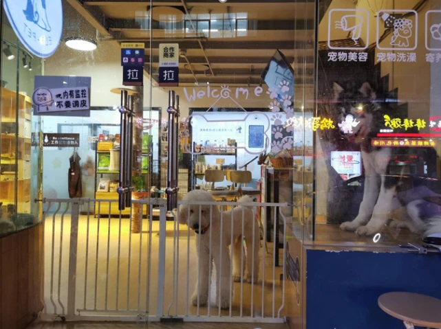 宠物店“一房难求”！国庆假期催化寄养热潮，资本大举涌入宠物市场