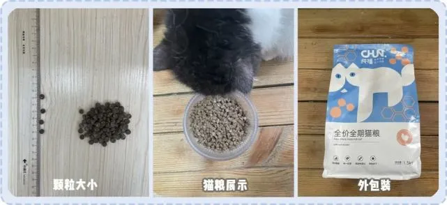 “无语子！我家猫竟对深海鱼粮过敏，一吃就吐！”