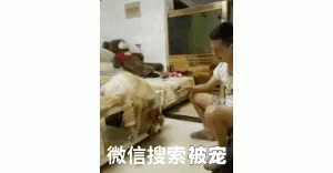 铲屎官刚打开门，发现金毛悬笼自尽，看清后一拖鞋飞过去…