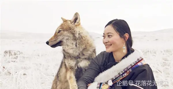 2010年，四川女孩把一匹狼当“儿子”对待，10年后的结局令人泪目