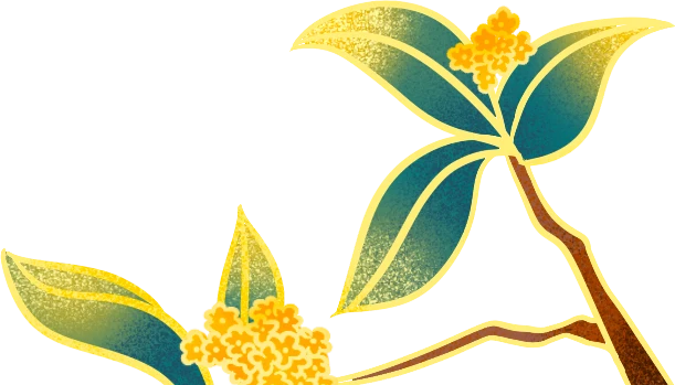 当我老了，铲屎官你要“肾”重对待呀！