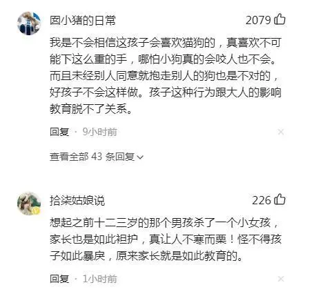 四川一小学生虐打幼犬反转？家长称孩子被狗咬，网友评论却一边倒