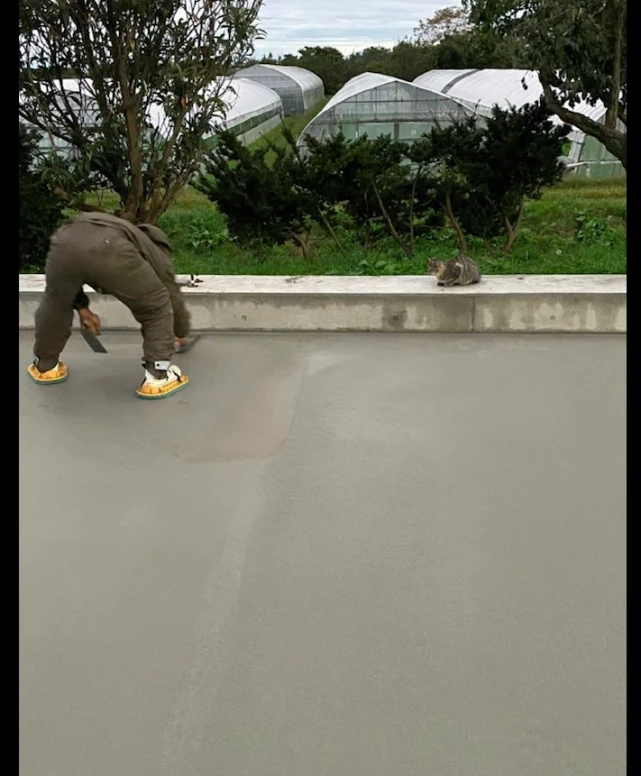 猫咪趁水泥还没有干，就走了上去，猫：这条路必须留下本喵的脚印
