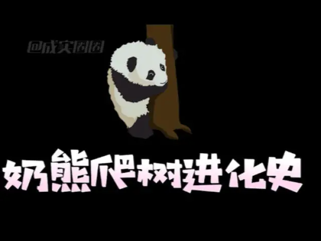 九九重阳节，幼崽滚滚用爬（登）树（高）运动为大家送上祝福！