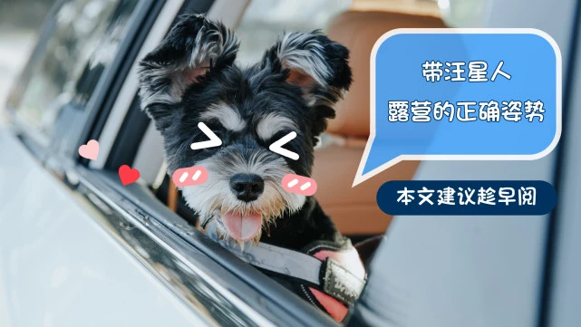 小鹏P5的“搬家式”露营体验！连毛孩子都爱上了
