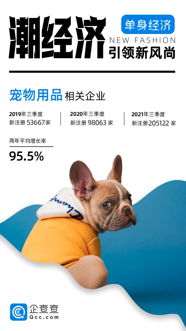 “快乐的铲屎官”：宠物用品相关企业近两年平均增长率达95.5％