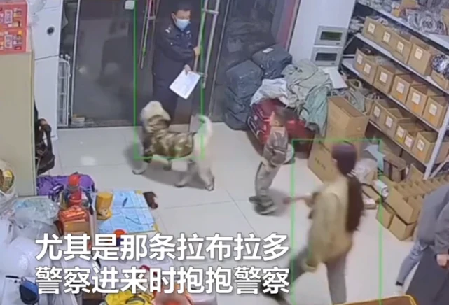 江苏一民警上门登记信息，店内狗狗热情扑抱，店主：想找编制工作