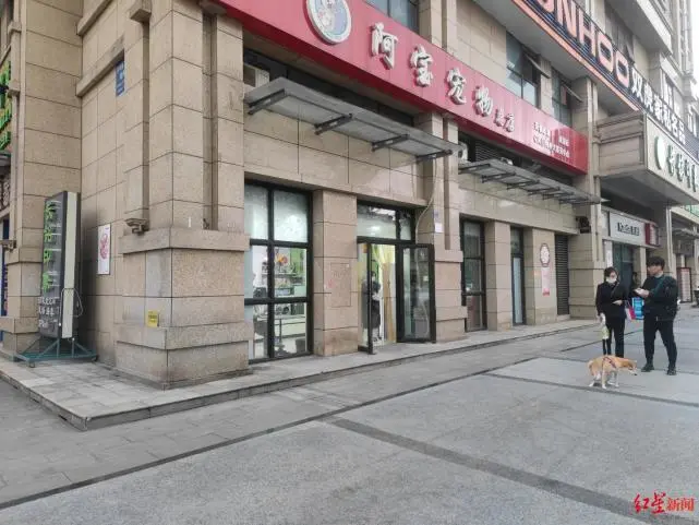 狗狗洗澡中暑死亡？宠物店“自证清白”：员工烘干箱内亲测两个半小时