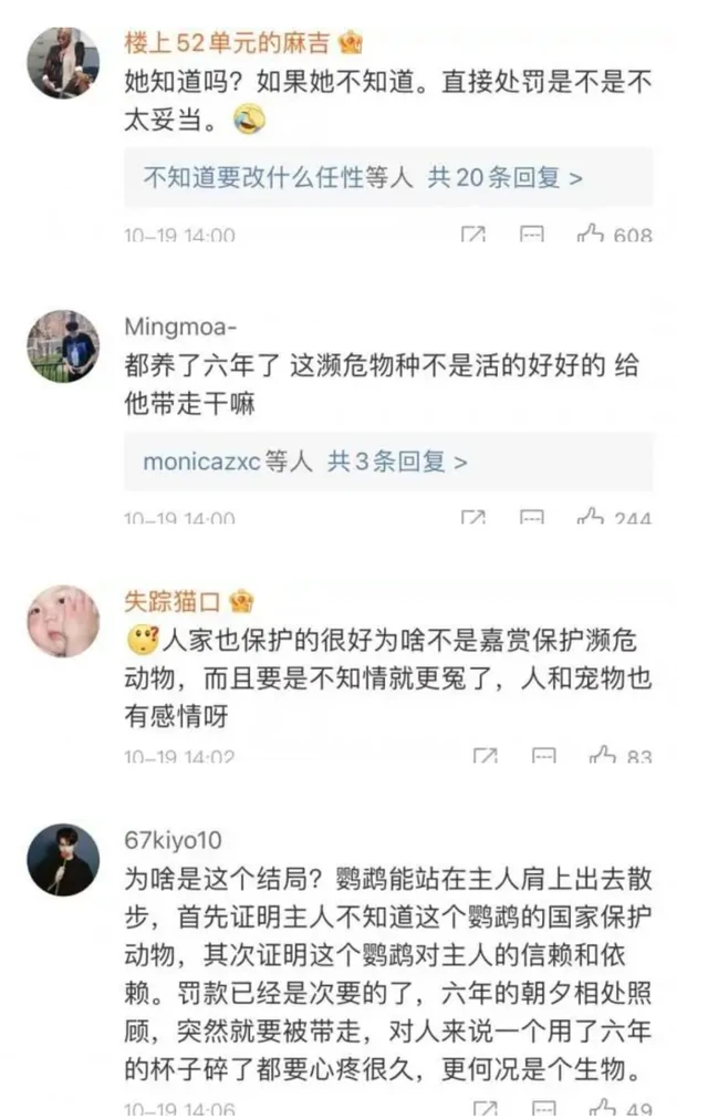 遛鹦鹉？小心被罚！上海女子养了6年的鹦鹉被没收，养宠物要注意