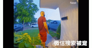 猫趣｜性格外向的猫咪，朋友众多，却独爱调戏外卖小哥