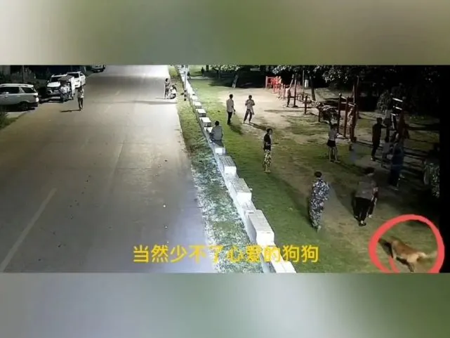 “遛狗不牵绳，赔钱罚款没商量。”