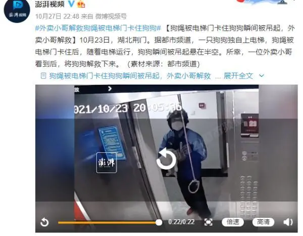 狗绳被电梯门卡住狗狗瞬间被吊起！危急时刻……