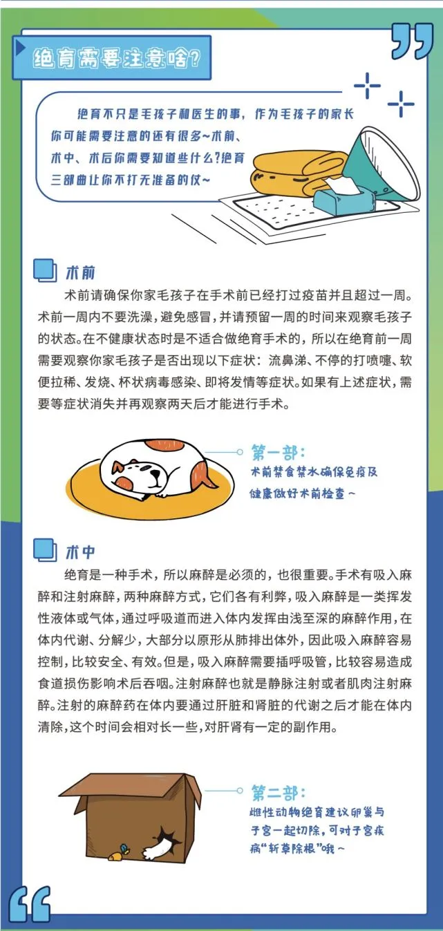 葵花宝典▎关于宠物绝育你想知道的都在这里