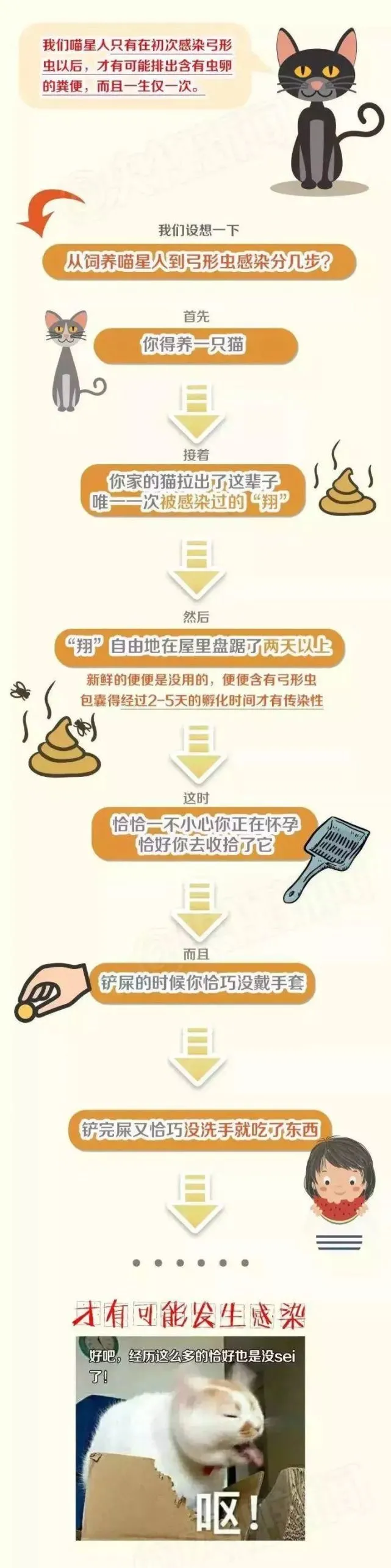 一位孕妇说：“你们再逼我送走猫，我就自杀！”