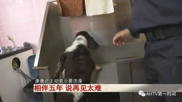 你知道吗？坐飞机托运的行李，还要经过它的“放行”！