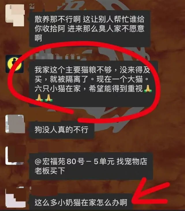 北京多位隔离者担心家中宠物饿死，副区长：将运至第三方机构寄养