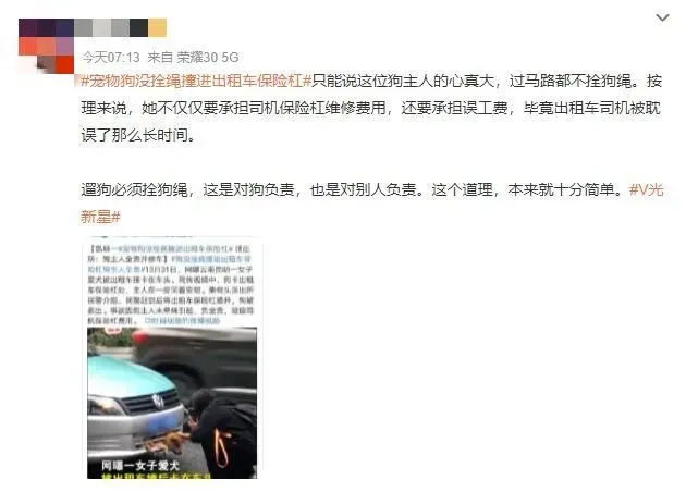 昆明一狗狗被撞进出租车保险杠，狗主人全责并修车