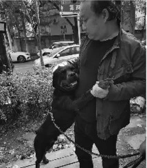 狗跑丢被收留 想主人一幕暖哭网友