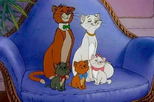 现实版“猫儿历险记”：猫妈妈生下4只小猫，全部撞脸卡通明星