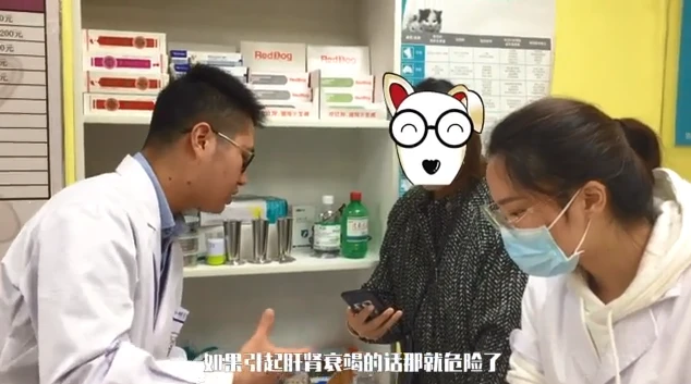 狗狗遭下毒生命垂危，怀孕的主人抱着汪直奔医院：你一定要挺过来
