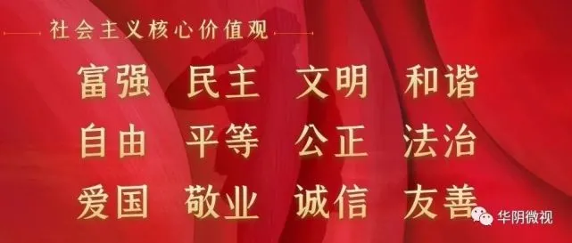 华阴人，文明养犬，这组漫画你该收藏了～