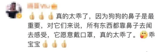 小狗一个行为，冲上热搜