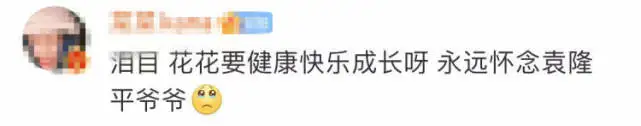 袁隆平的猫还在等他回家＃这只叫“袁花花”的猫让网友直呼“破防了”！