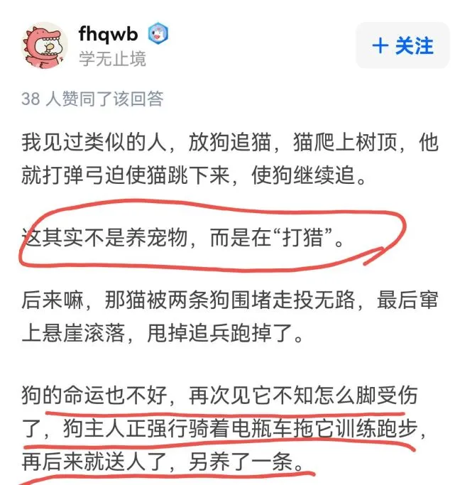 一男子放任自家狗咬死流浪猫，路人劝阻被回怼：它又不是你的猫