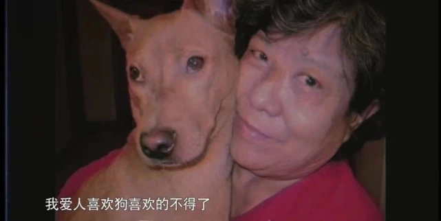 这部纪录片，我从头哭到尾