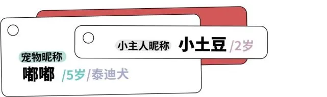 千万不要让孩子和宠物呆在一起，不然你会发现好处也太多了吧！
