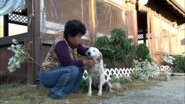狗妈妈失去幼犬后，每天不着家，主人偷偷跟踪，发现感人真相