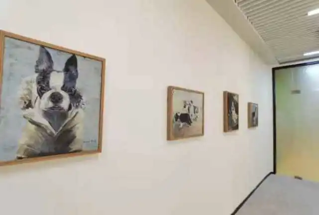 狗狗们有福了，这家有里子有面子的宠物城市客厅正式落户杭州