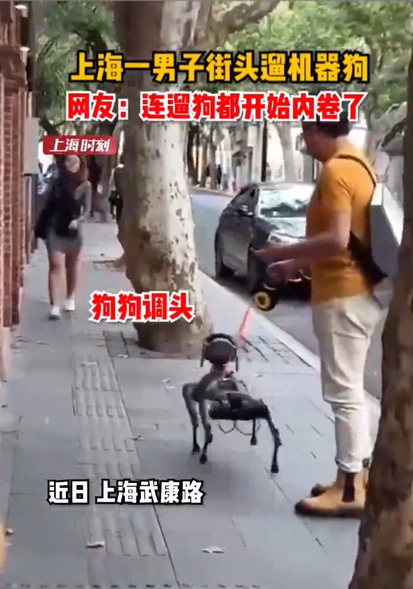 遛狗都内卷了？一男子街头遛机械狗，真狗子吓了一大跳