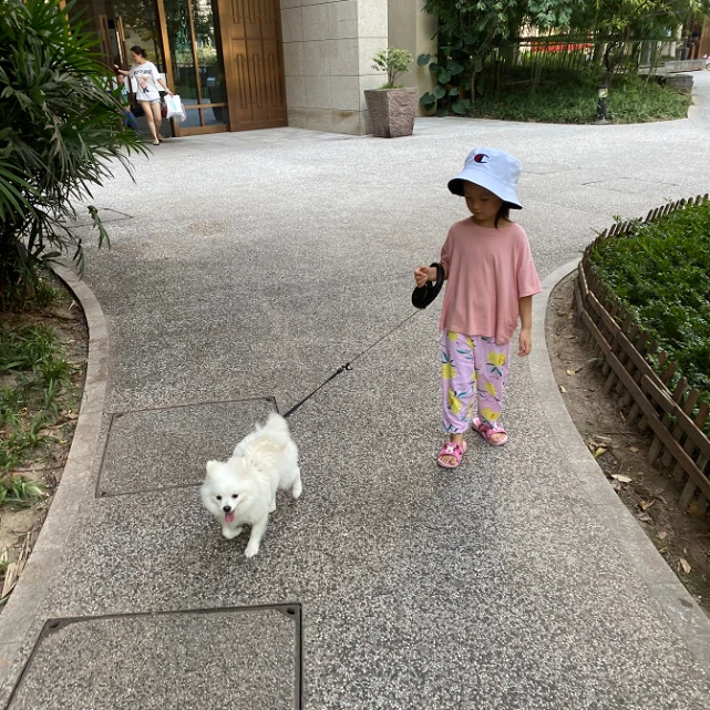 狗狗行为解析：狗狗把屁股对着你传达什么信息？原来如此