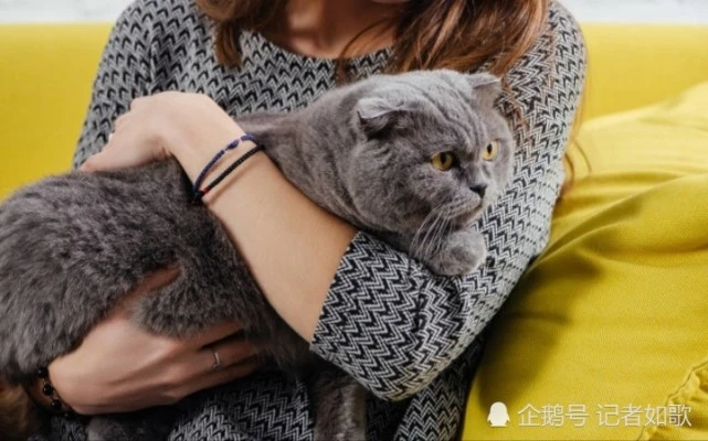 杭州16岁女孩腹痛恶心，因与宠物亲密接触，让虫进入体内