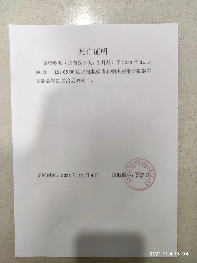 消费曝光台｜深圳多名消费者称买到“星期宠”联合起诉宠物店