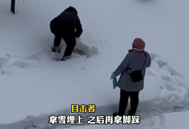 辽宁一老人把猫埋雪里用脚踩，女儿不制止还拍照：自家的猫太作了