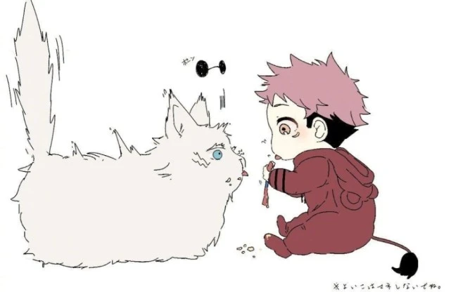 五条猫和虎子幼崽