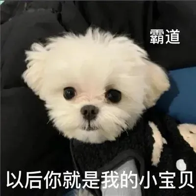可以亲亲一下吗卖萌表情